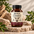 QUVLA Ancestral