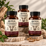 QUVLA Ancestral